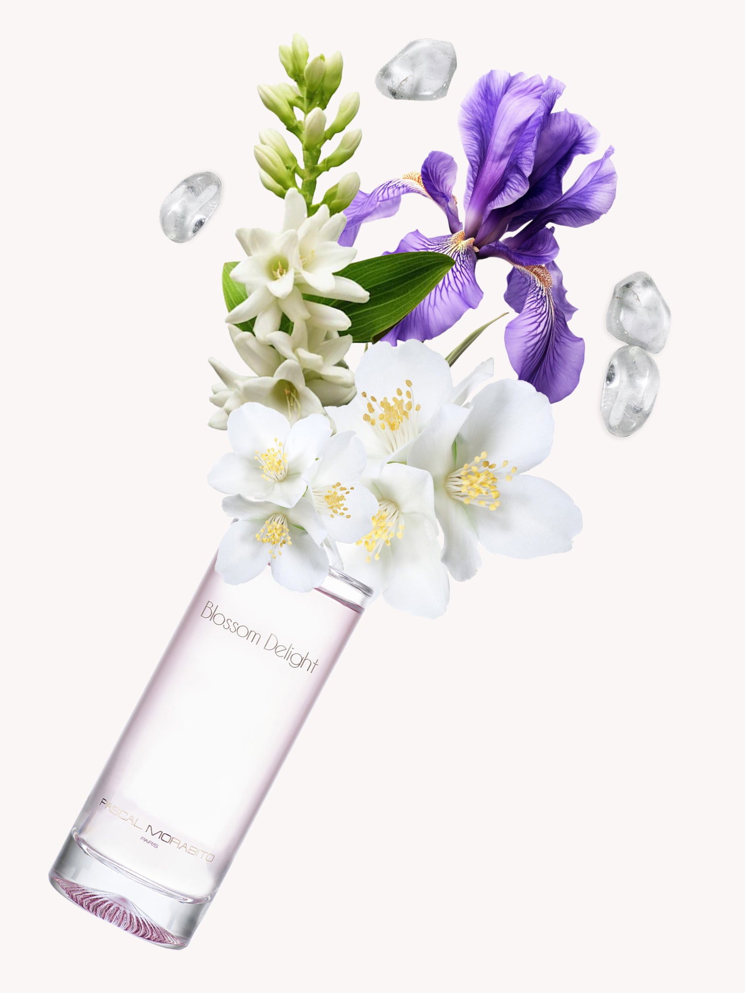 Blossom Delight