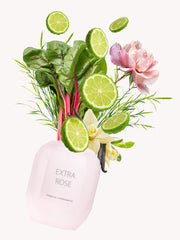 Extra Rose