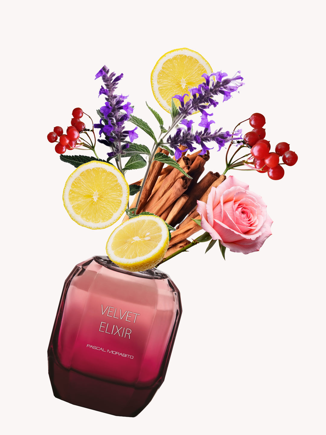 Velvet Elixir – Pascal Morabito